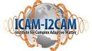 ICAM logo